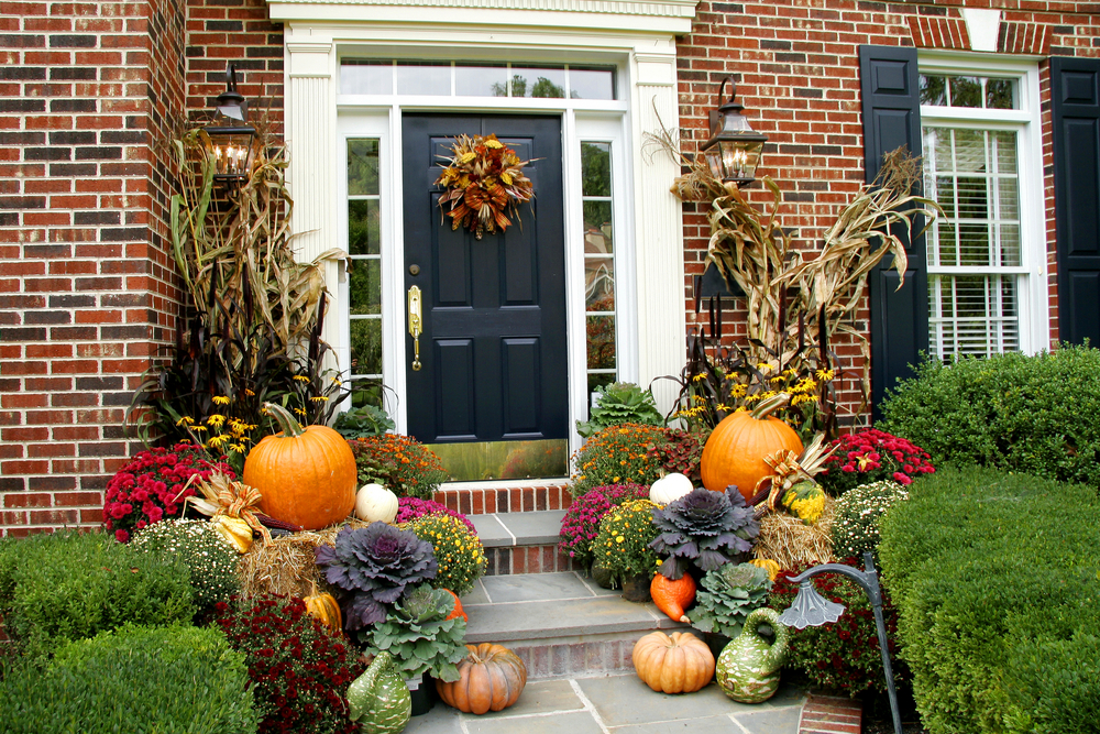 GaGa_For_Gourds