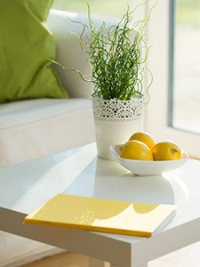 guestbook