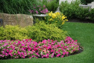 6 Tips for Water-Efficient Landscaping - bhgrelife.com