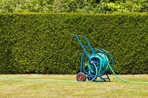 6 Tips for Water-Efficient Landscaping - bhgrelife.com