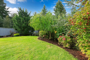 Landscaping Secrets From the Pros - bhgrelife.com