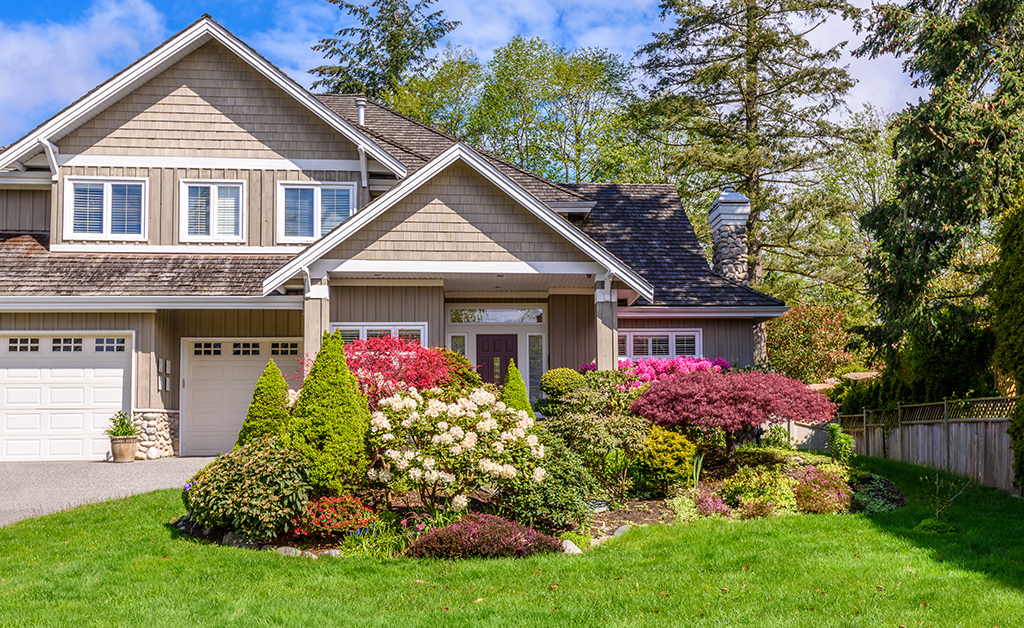 beautiful front yard
