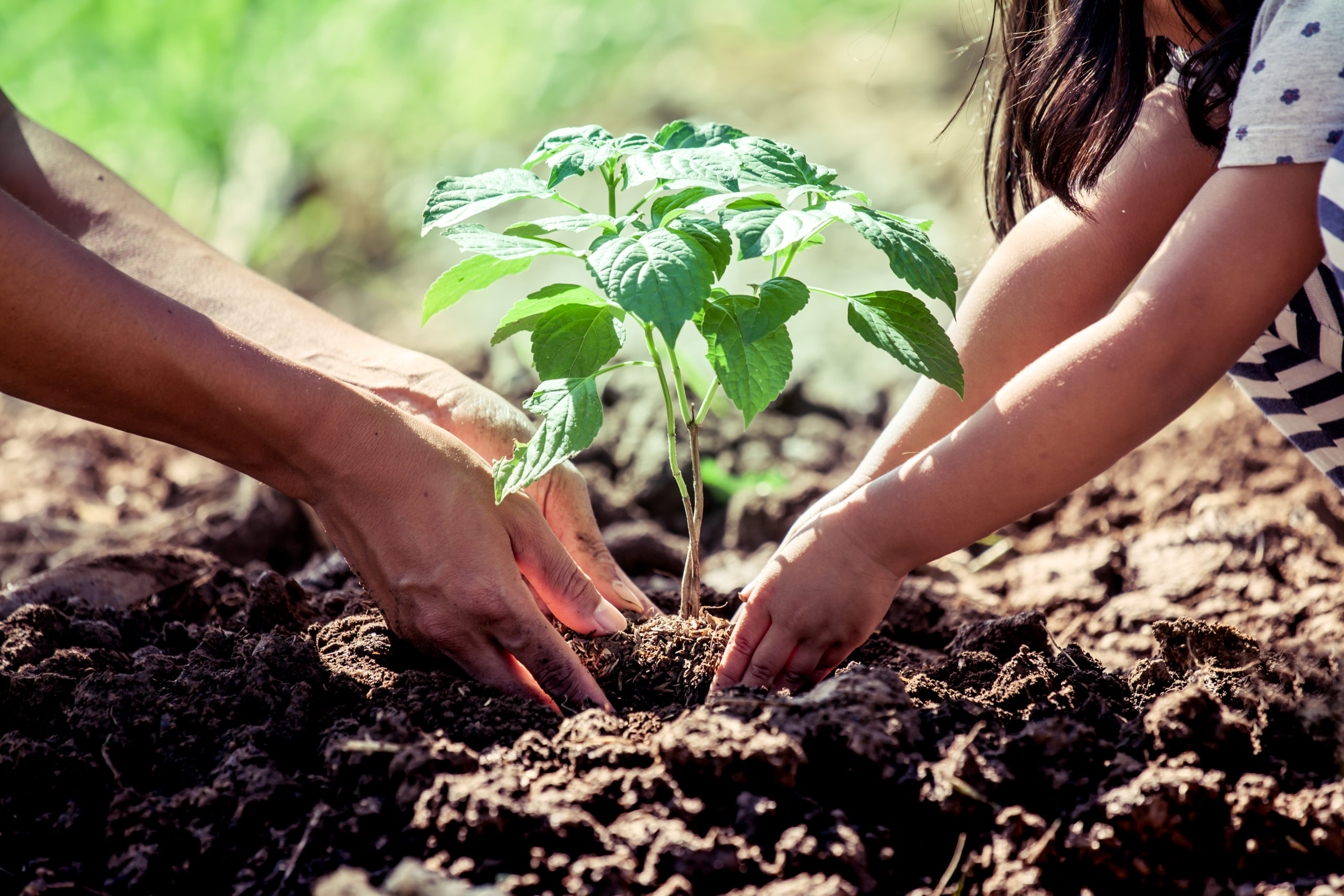 how to start composting